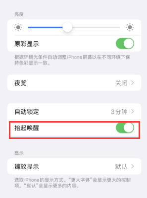 泽州苹果授权维修站分享iPhone轻点无法唤醒怎么办