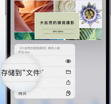 泽州apple维修中心分享iPhone文件应用中存储和找到下载文件