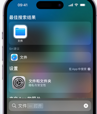 泽州apple维修中心分享iPhone文件应用中存储和找到下载文件 