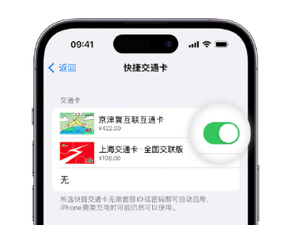 泽州apple维修点分享iPhone上更换Apple Pay快捷交通卡手绘卡面 