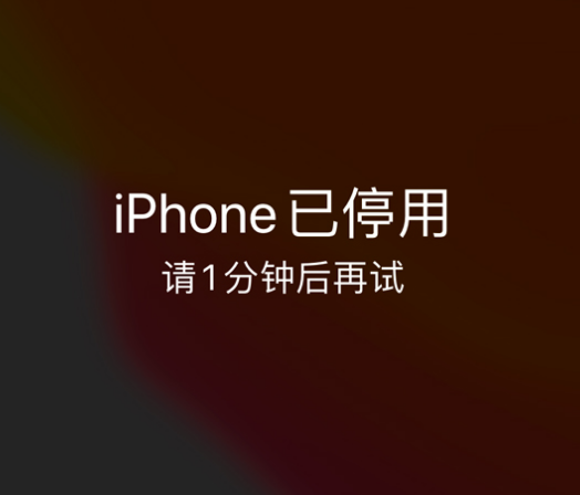 泽州苹果手机维修分享:iPhone 显示“不可用”或“已停用”怎么办？还能保留数据吗？ 