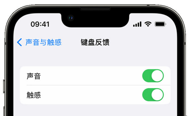 泽州苹果手机维修分享iPhone 14触感键盘使用方法 