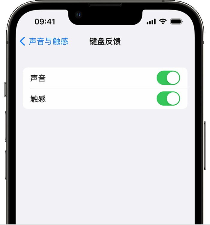 泽州苹果14维修店分享如何在 iPhone 14 机型中使用触感键盘 