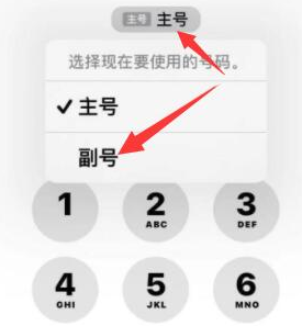 泽州苹果14维修店分享iPhone 14 Pro Max使用副卡打电话的方法 