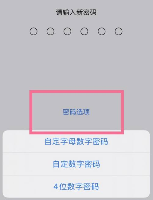 泽州苹果14维修分享iPhone 14plus设置密码的方法 