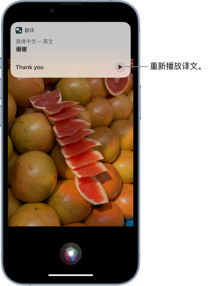 泽州苹果14维修分享 iPhone 14 机型中使用 Siri：了解 Siri 能帮你做什么 