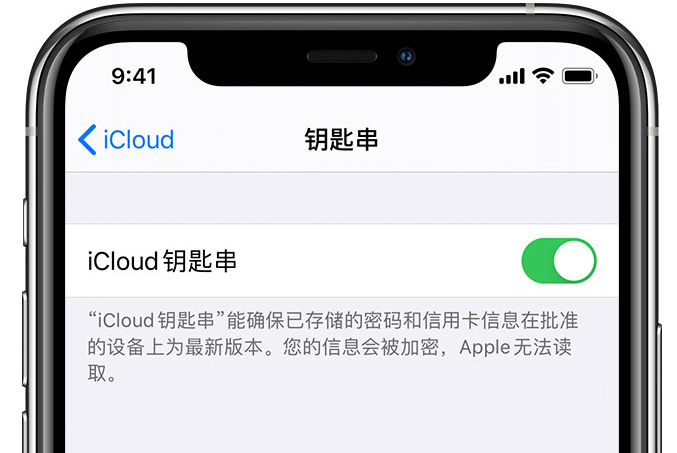 泽州苹果手机维修分享在 iPhone 上开启 iCloud 钥匙串之后会储存哪些信息 